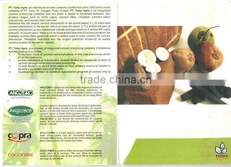 INDONESIA COCONUT PULP, COCONUT FIBER, COCONUT WATER AND CHARCOAL