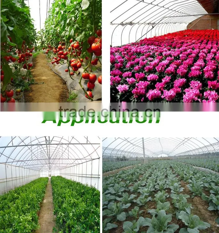 Single span farm using greenhouse tent for sale