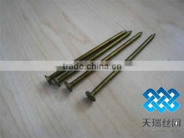 Nail/wire nail/common nails