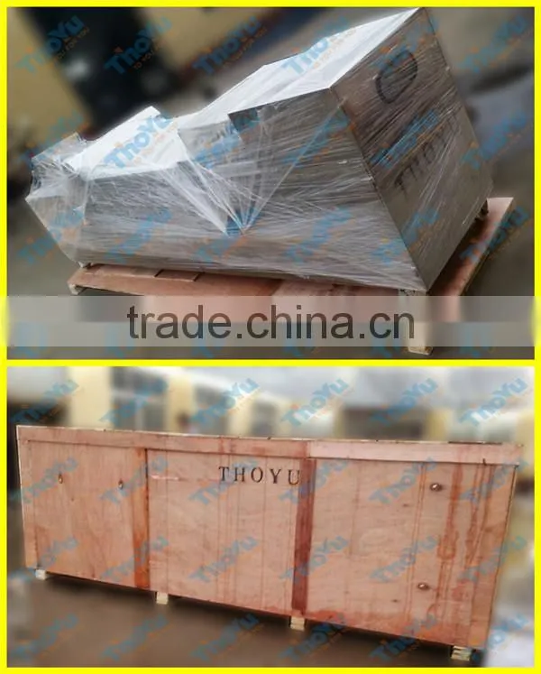 World Popular Most Professional Jujube Pitting Machine(SMS: 0086-15903675071)