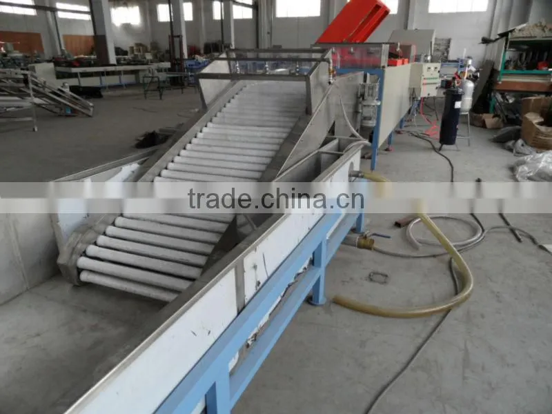 High Quality Fruit & Vegetables Washing Waxing Drying and Sorting Line