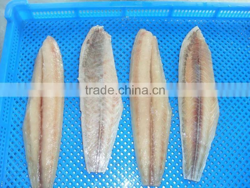 Frozen Mahi-mahi and Coryphaena hippurus fillet