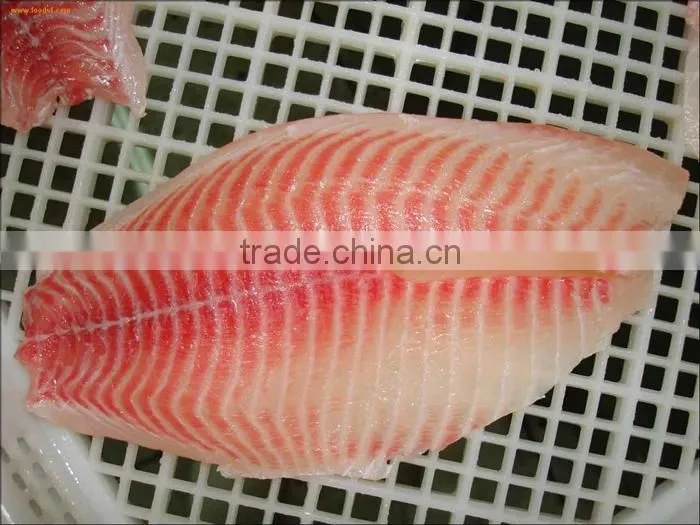 Frozen Tilapia Fillet From Zhejiang of China
