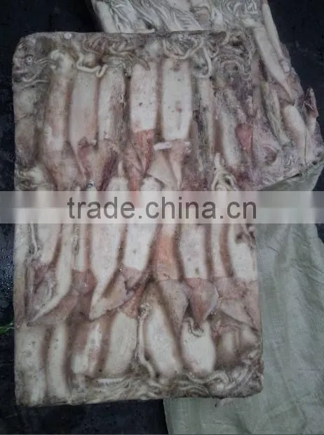 Frozen Whole Round Squid Todarodes Pacificus