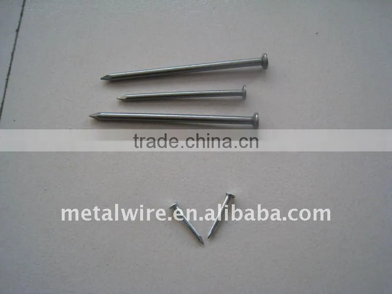 Common Headless Nail