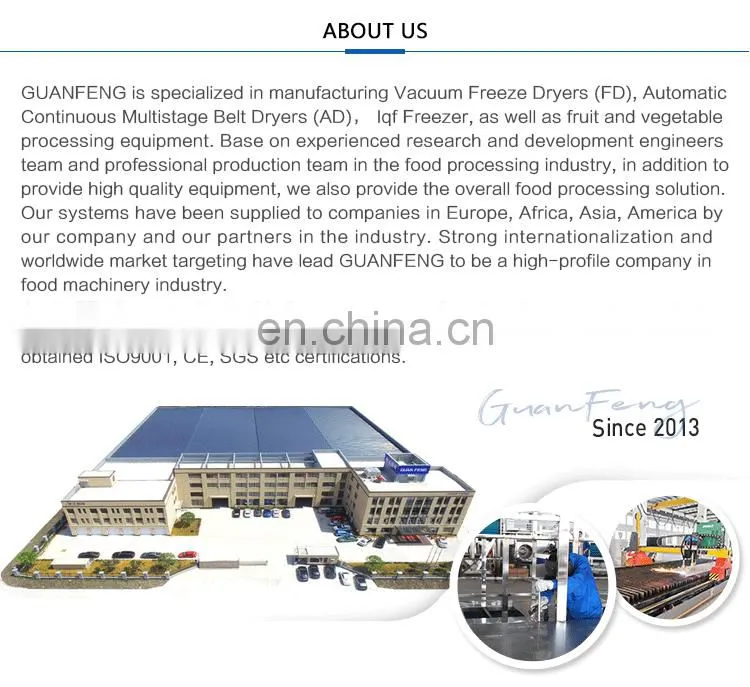 Labor saving draining feeding fruits and vegetables vibrating screen machine