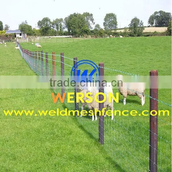 150/12/15 hot dipped galvanized Goat Fence| werson fence