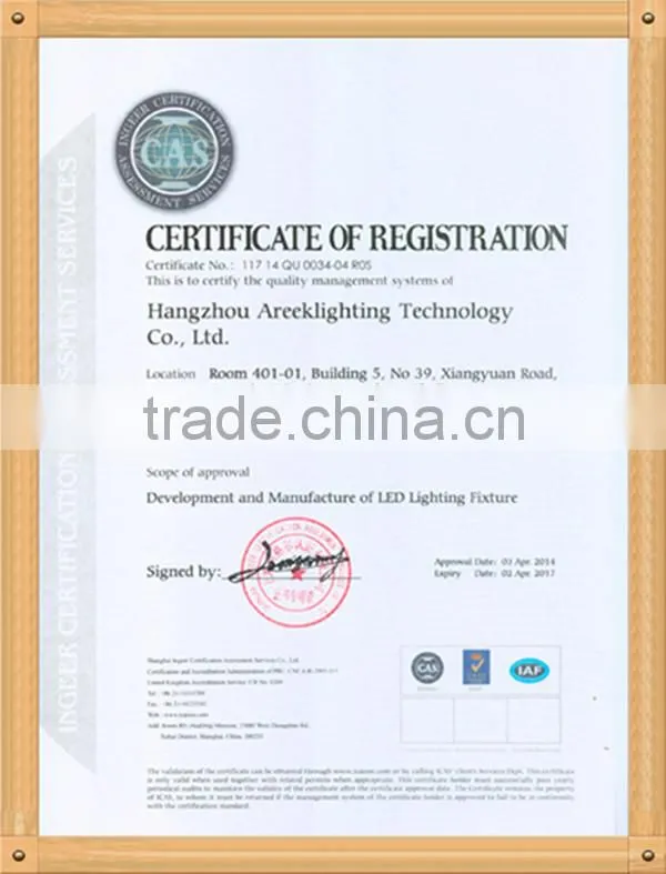 High quality Unique design LED Aluminium Downlight 30*1W for INDOOR decoration