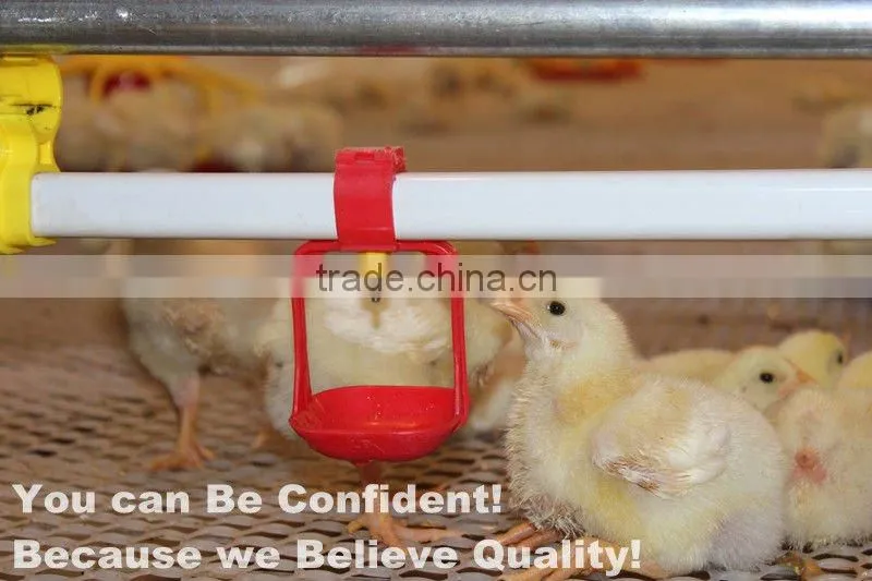 ISO9001 quality assuranced plan house house automatic poultry equipment
