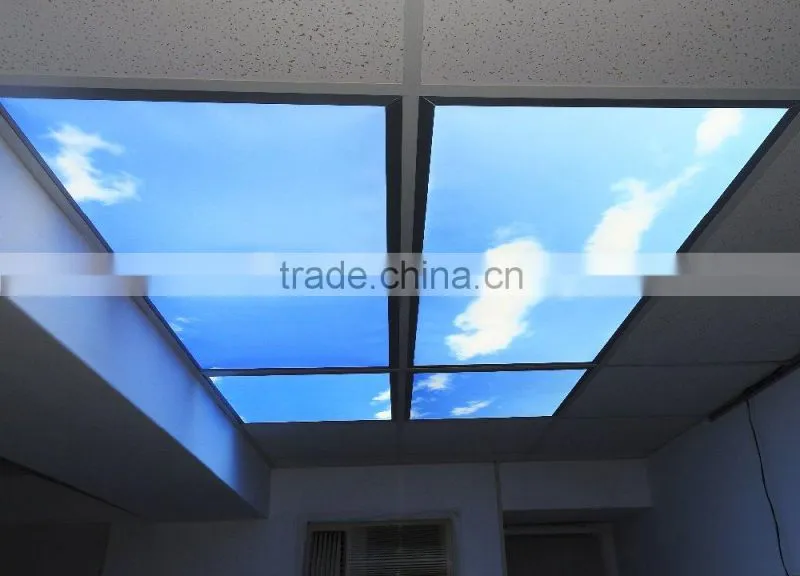 MICROSTONE 3x2 customized colorful SKY led ceiling mount light