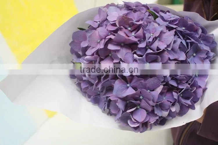 Elegant in smell top sell indoor decoration flower of hydrangea