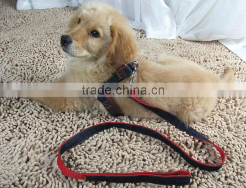 whosales manufacture Nylon Dog collar with dog leash