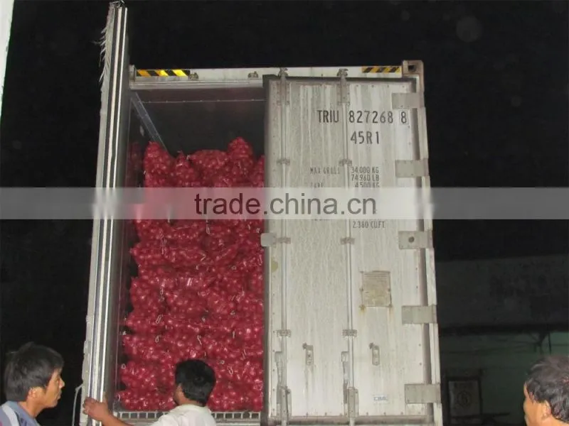 onions exporters