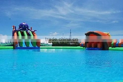 Giant Inflatable Swimming Pool