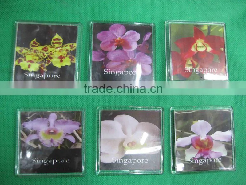 decorative Refrigerator stickers with Thermometer