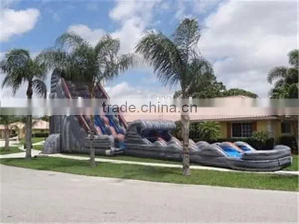 Amusement Park 30 FT 2 Lane Inflatable Water Slides Custom PVC Waterproof