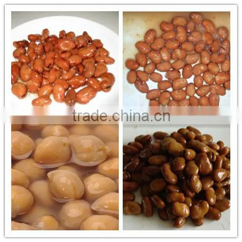 Canned broad beans, Canned broad beans in brine for sale