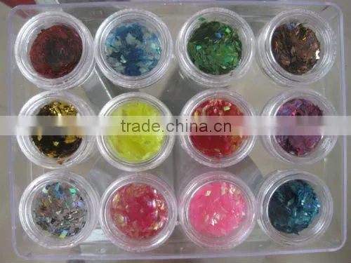 12 Colors Boxed Crushed coconut shell powder Nail Art Tip Decoration