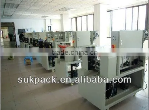 Auto Bread Packing Machine In Thailand