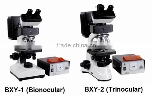 Fluorescence Microscope