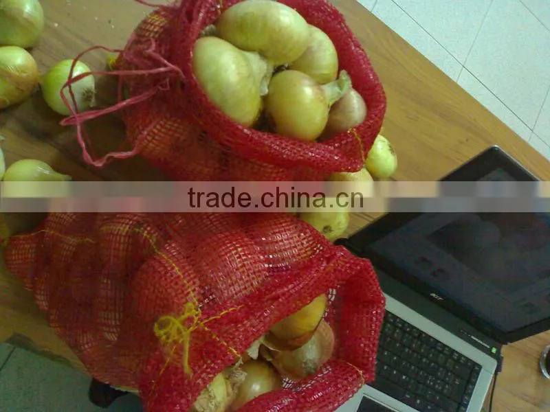 Gold Onion ( crops 2013)