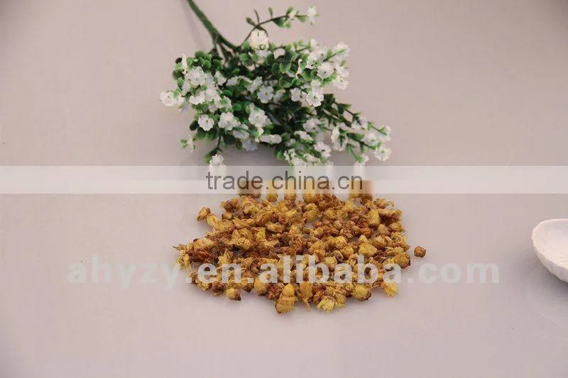 Wintersweet Flower Flos Mume
