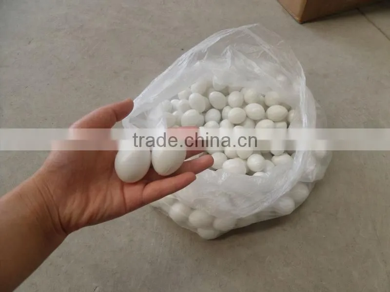 false pigeon egg