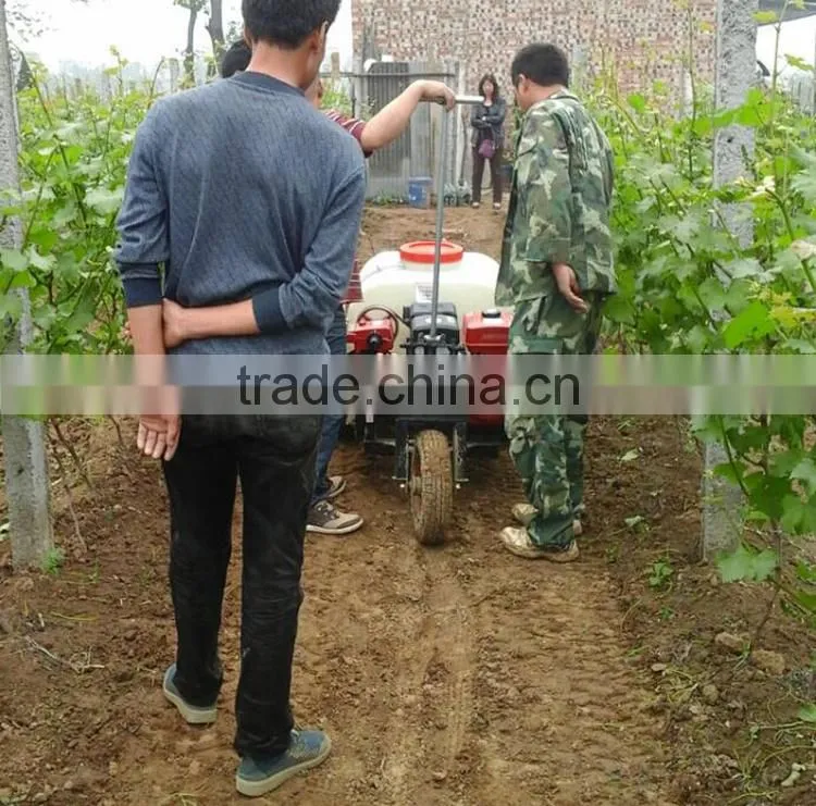 Neweek agricultural garden sprayer water spraying machine