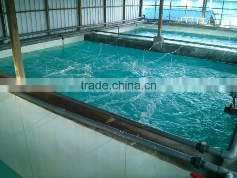 Best water filter Sand filter for Swimming Pool