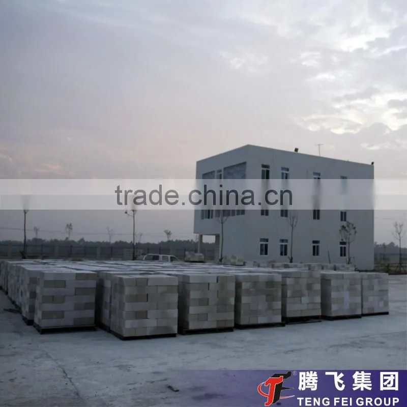 Professional production-Henan Teng Fei150,000m3 aac brick