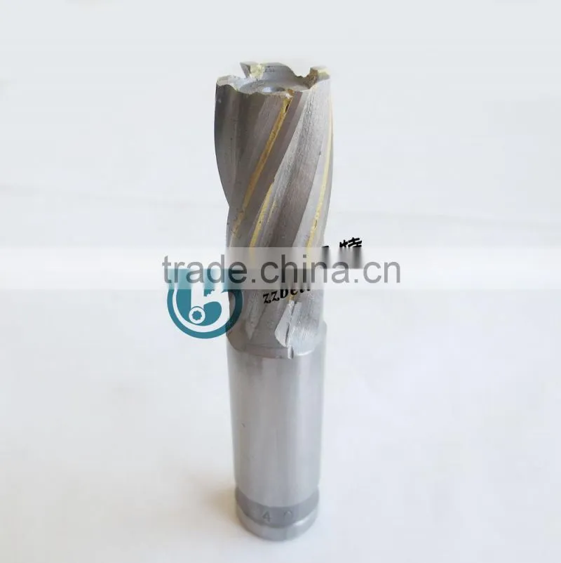 High quality Brazed Carbide End Mill in 4 flutes