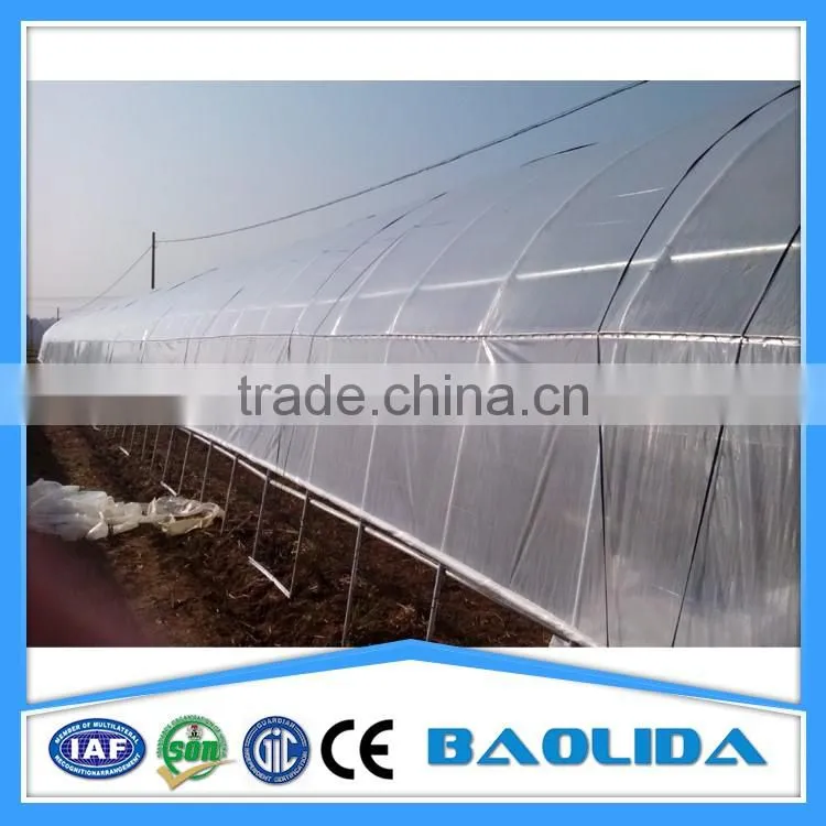 cheap tunnel greenhouse