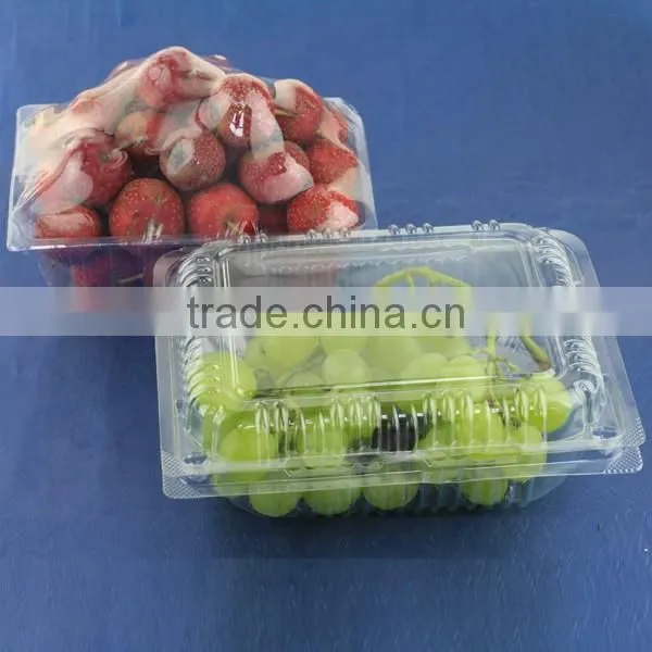 transparent plastic fruit storage box