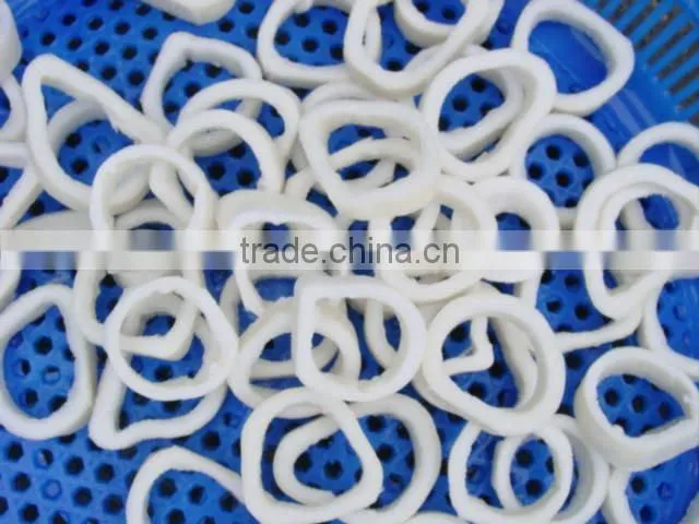 Frozen Squid Tube