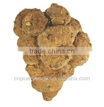 Factory Supply Dietary Supplyment 100% Natural panax Notoginseng P.E. / Wild Radix Notoginseng Extract