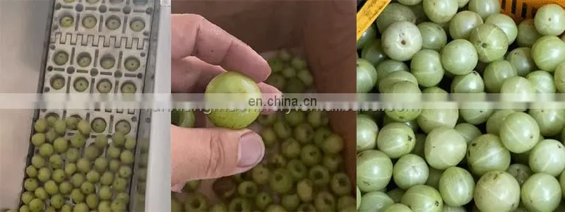 Peach Longan Cherry Sweet Date Olive Prune Destone Cherry Avocado Seed Removing Machine