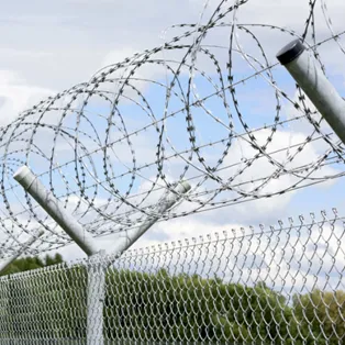 Barbed Wire.png