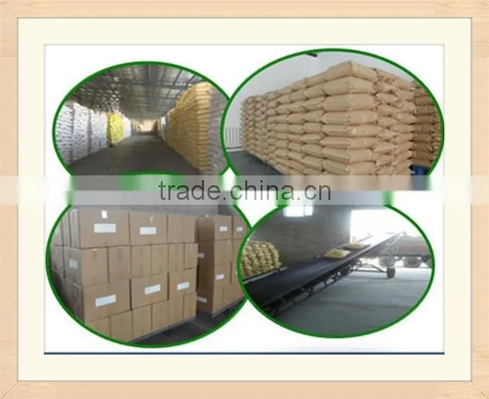 China, Hot Sale Raw Sunflower Seeds,2014