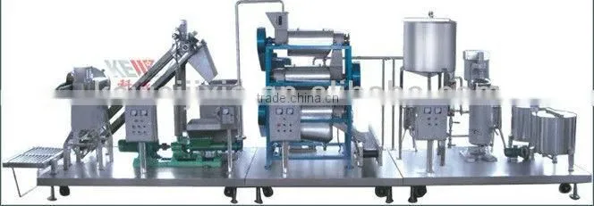 4.5 tons per hour carrot juicer machine
