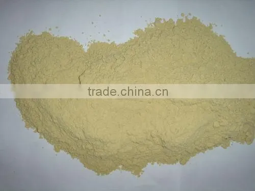 garlic powder