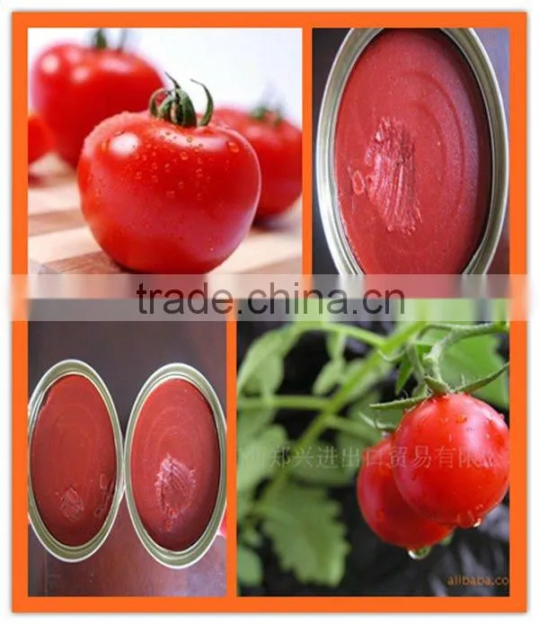 425g canned fresh tomato sauce 28-30% of competive price