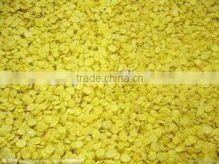 Corn Flakes Production Line Manufacturing Plant
