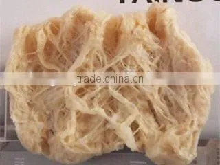 Tissue Proteins Extruder Machine/Equipment