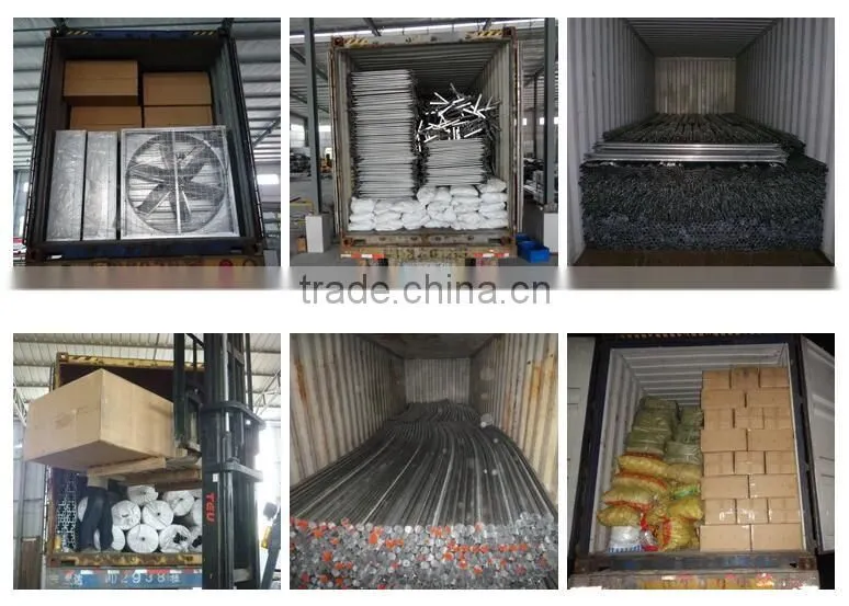 Polycarbonate/PC multi-span agricultural greenhouse