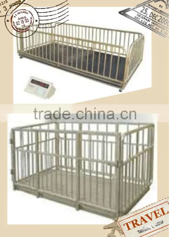 livestock platform scales