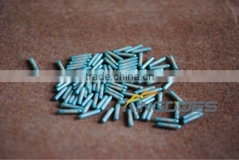 Smallest RFID Glass Tag