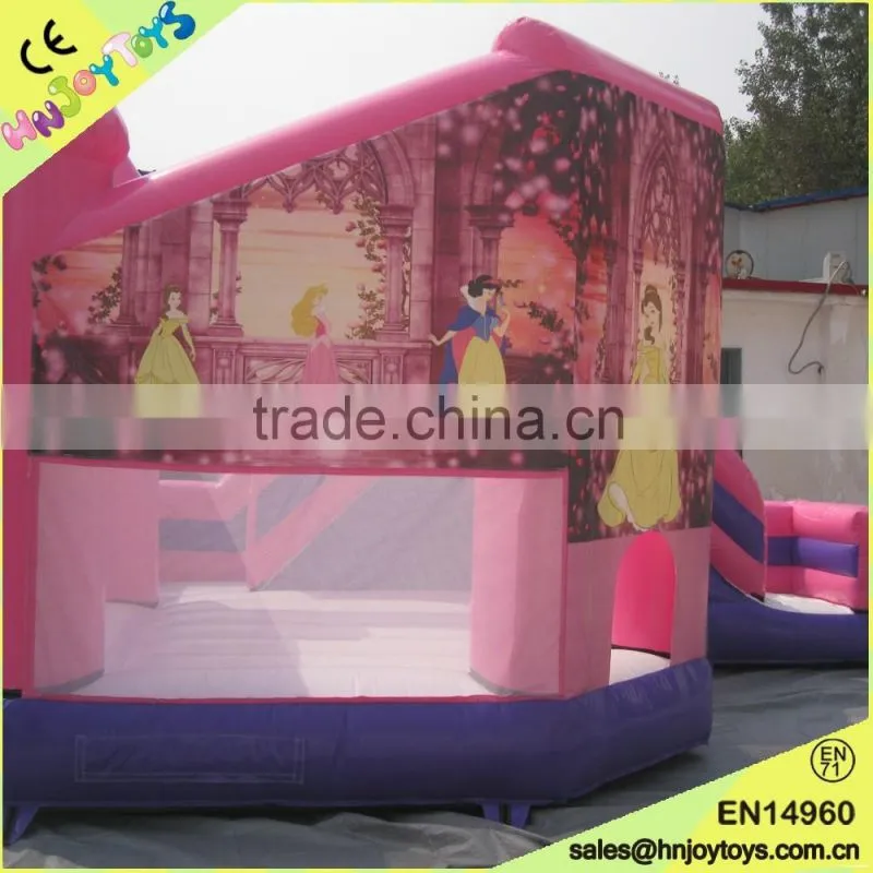 party used popular princess bouncy castle