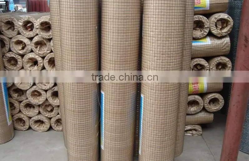 High-Quality Welded Wire Mesh Hot dipped Galvanized Welded Wire Mesh Roll