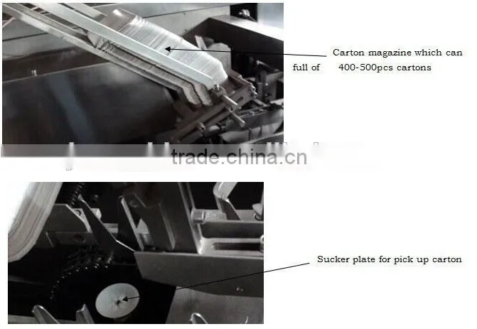 Hot Sale Automatic Bottles Carton Machine High Speed Cartoning Machine