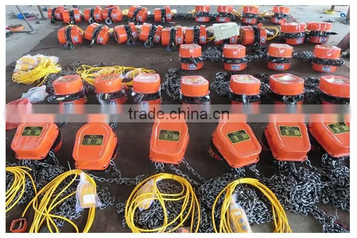 Hot Selling Excellent Service High Quality Dhs Series 10t Electric Chain Block